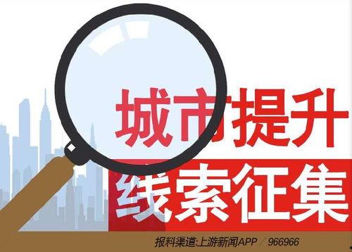 河北新闻爆料热线电话,倾听民声，守护正义的桥梁  第2张